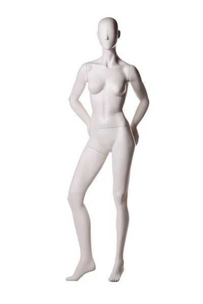 在白色上被隔离的人体模型 — 图库照片