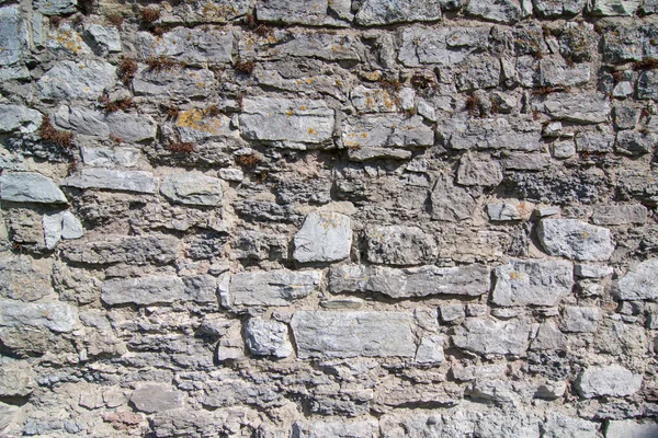 Stone wall texture background — Stock Photo, Image