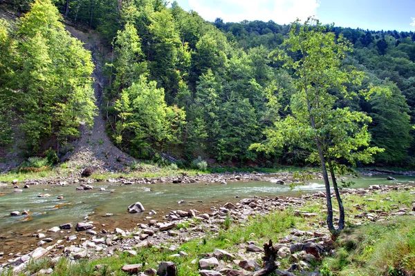 Berglandschap met rivier bos en bomen — Stok fotoğraf