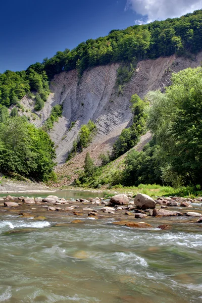 Berglandschap met rivier bos en bomen — Stok fotoğraf