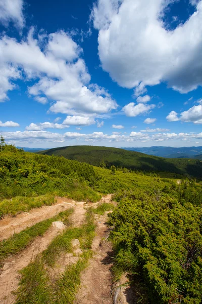 Paesaggio montano con bosco e alberi — Foto Stock