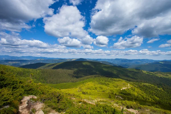 Paisagem montanhosa com floresta e árvores — Fotografia de Stock