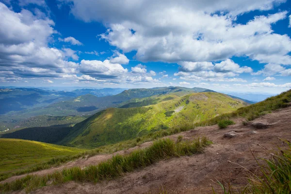 Paysage de montagne avec forêt et arbres — Photo