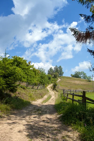 Bergslandskap med skog och träd — Stockfoto