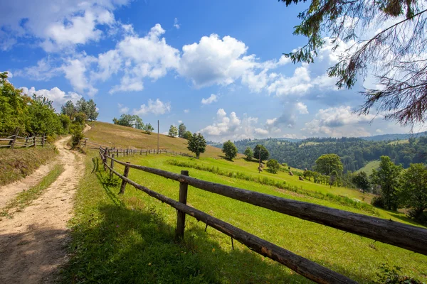 Berglandschaft mit Wald und Bäumen — Stockfoto