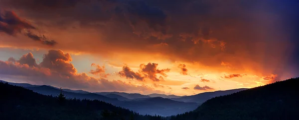 Paisagem montanhosa com floresta e árvores — Fotografia de Stock