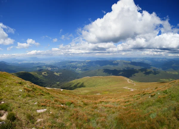 Paesaggio montano con bosco e alberi — Foto Stock