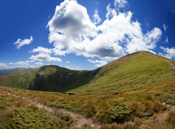 Paisaje de montaña con bosque y árboles — Foto de Stock