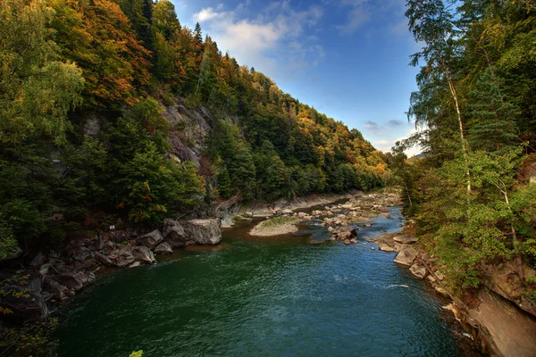 Paisaje de montaña con bosque fluvial y árboles — Foto de Stock