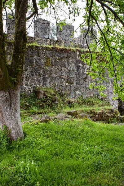 Ruines du château — Photo