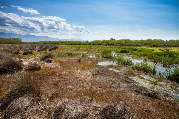 Landscape — Stock Photo, Image