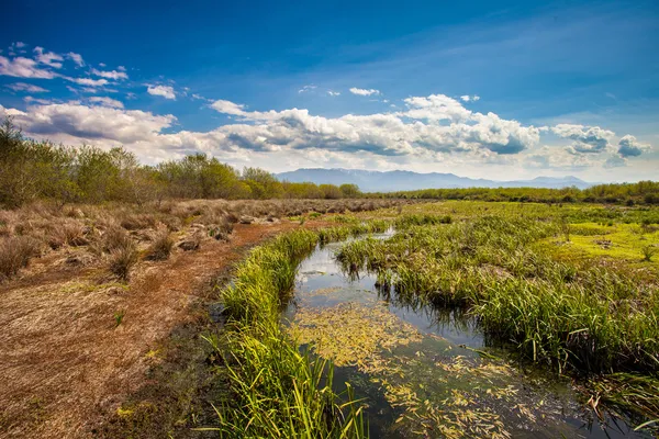 Landschaft — Stockfoto