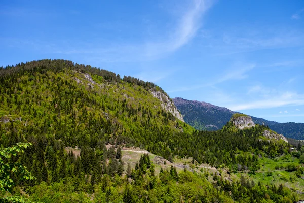 Horská krajina v Gruzii, Kavkaz — Stock fotografie