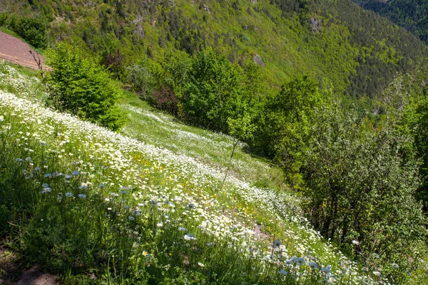 Horská krajina v Gruzii, Kavkaz — Stock fotografie
