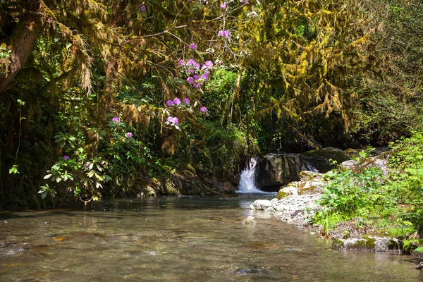 Dağ nehir taşları ile — Stok fotoğraf