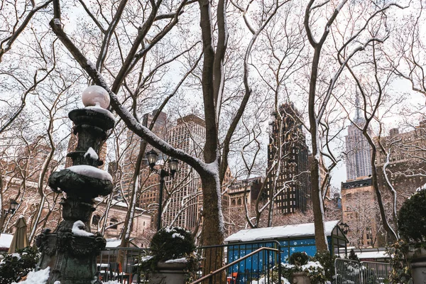 Bryant Park Día Nevado Árboles Bryant Park Manhattan Cubiertos Nieve —  Fotos de Stock