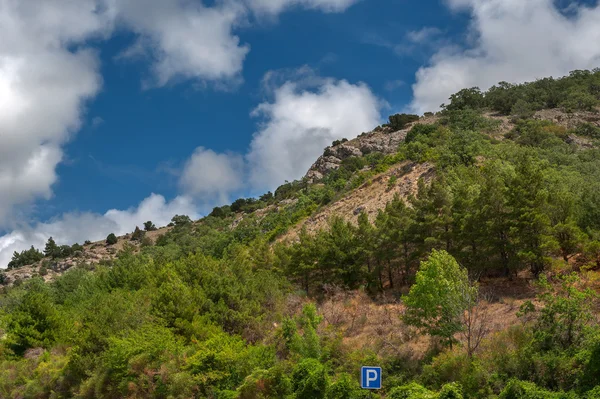 Summer landscape in the mountains — Stock Photo, Image