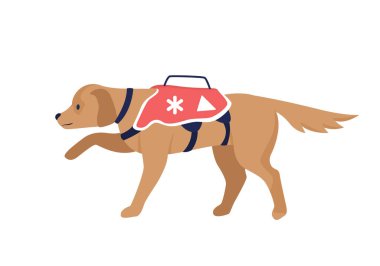 Avalanche rescue dog semi flat color vector character. Full body animal on white. Rescue mission. Trained search animal isolated modern cartoon style illustration for graphic design and animation clipart