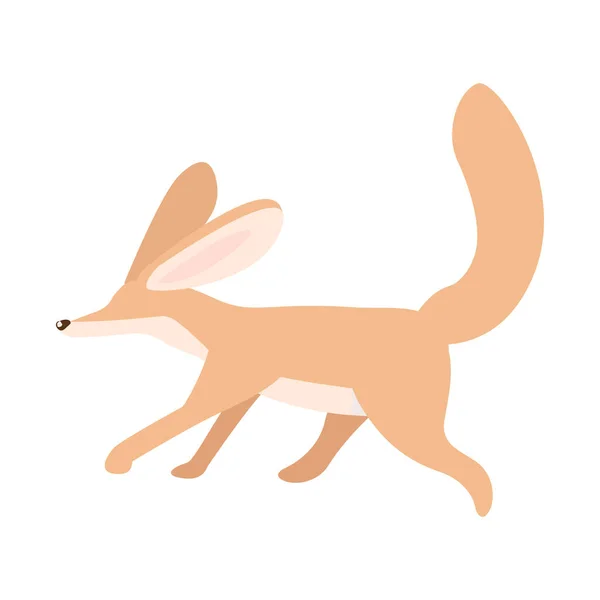 Fennecキツネ半フラットカラーベクトル文字 ジャンプ図 白の全身動物 かわいい小さな野生動物は グラフィックデザインとアニメーションのための現代的な漫画スタイルのイラストを隔離 — ストックベクタ