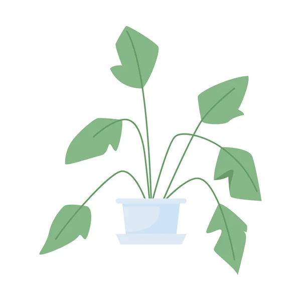 Тропическое Растение Внутреннего Декора Полуплоского Цвета Вектор Пункта Реалистичный Объект — стоковый вектор