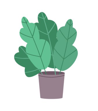 Green fern semi flat color vector object. Realistic item on white. Indoor decoration for home and office isolated modern cartoon style illustration for graphic design and animation