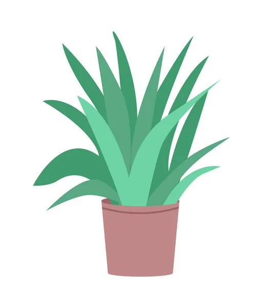 Green Ficus Pot Semi Flat Color Vector Object Realistic Item — Wektor stockowy