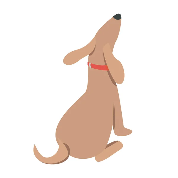 Perro Crianza Con Largo Hocico Semi Plana Color Vector Carácter — Vector de stock