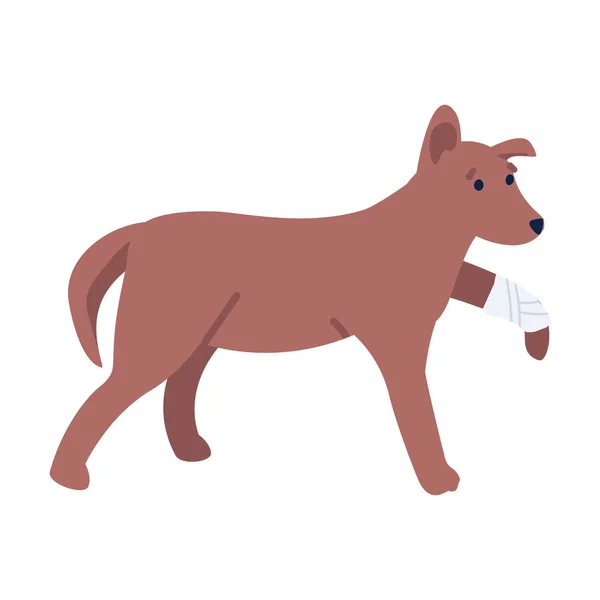 Грустная Собака Сломанной Ногой Полуплоского Цвета Векторный Характер Стоячая Фигура — стоковый вектор