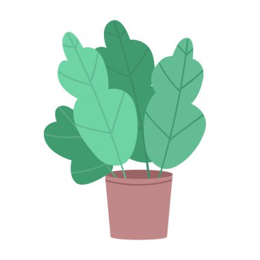 Yarı düz renk vektör nesnesinde salata yetiştirmek. Tam boy beyaz. Web grafik tasarımı ve animasyonu için basit karikatür stili illüstrasyonuna yapraklı yeşiller ekiliyor