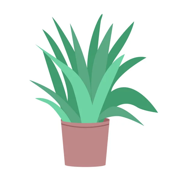ポット半フラットカラーベクトルオブジェクト内のアロエベラ植物 観葉植物 フルサイズのアイテム上白 家庭で多肉植物の成長シンプルな漫画スタイルのイラストのためのウェブグラフィックデザインとアニメーション — ストックベクタ