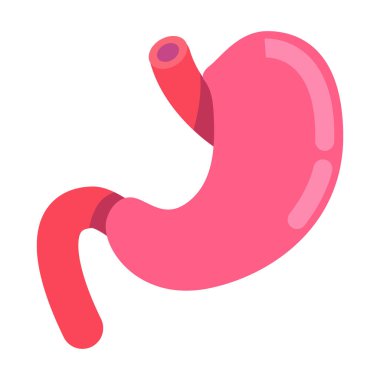 Mide yarı düz renk vektör nesnesi. İnsan organı anatomisi. Tam boy beyaz. İç organ. Cerrahi prosedür. Web grafik tasarımı ve animasyonu için basit çizgi film stili çizimi