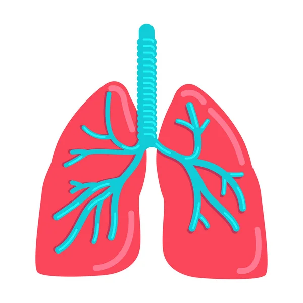 Lungs Semi Plana Vector Color Objeto Sistema Respiratorio Órgano Interno — Archivo Imágenes Vectoriales