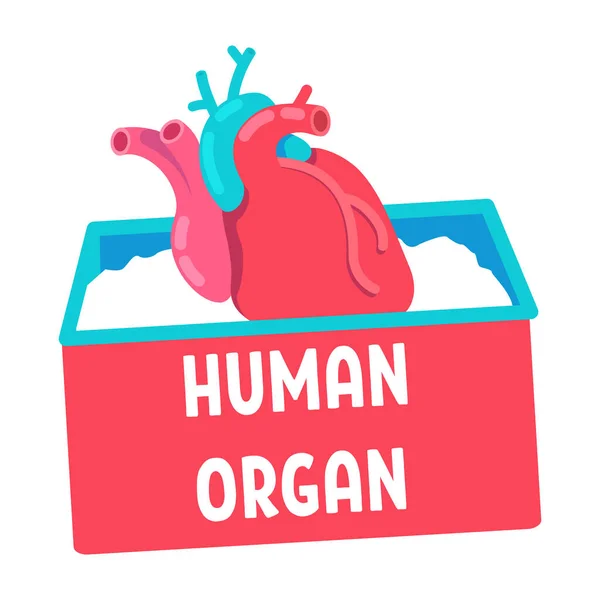 移植人体器官的半平彩色载体对象 心脏移植手术全尺寸的白色项目 用于网页平面设计和动画的简单卡通风格图解 — 图库矢量图片