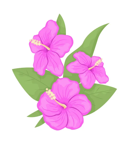 Hibiscus Λουλούδια Φύλλα Ημι Επίπεδη Χρώμα Διανυσματικό Αντικείμενο Πλήρες Μέγεθος — Διανυσματικό Αρχείο