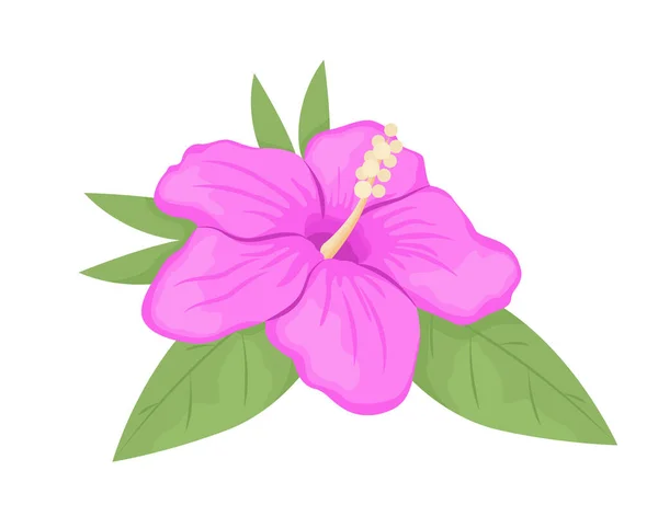 Hibiscus Flower Blooming Semi Flat Color Vector Object Full Sized — стоковый вектор