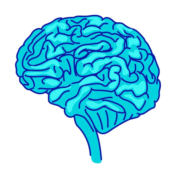 Das Menschliche Gehirn Semi Flache Farbvektorelement Objekt Voller Größe Auf — Stockvektor