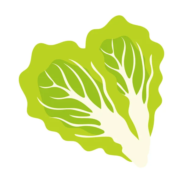 Heart Shaped Lettuce Leaves Semi Flat Color Vector Object Fresh — Stock Vector