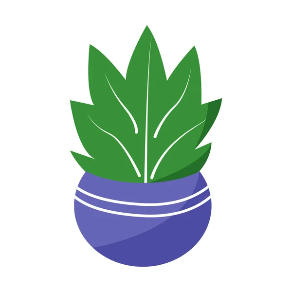 家居植物在圆形瓷壶半平的颜色矢量对象 有绿色植物的鲍尔园种植园 全尺寸的白色项目 用于网页平面设计和动画的简单卡通风格图解 — 图库矢量图片