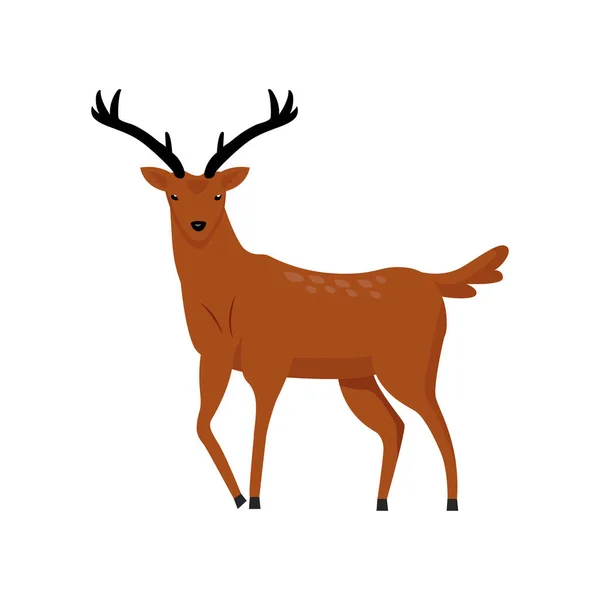 Brown Deer Two Horns Semi Flat Color Vector Character Full — Stock Vector