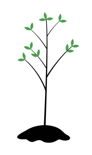 Planting Tree Seedling Semi Flat Color Vector Object Gardening Activity - Stok Vektor