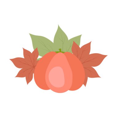 Olgun balkabağı ve sonbahar yaprakları yarı düz renk vektör nesnesi. Kırpılmış hasat. Tam boy beyaz. Web grafik tasarımı ve animasyonu için tüm sezon basit çizgi film stili çizimleri