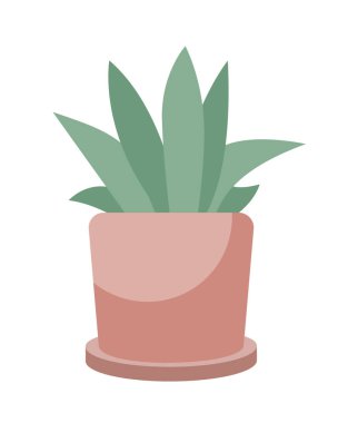 Houseplant in pot semi flat color vector object. Editable element. Full body item on white. Exotic plant cultivation simple cartoon style illustration for web graphic design and animation