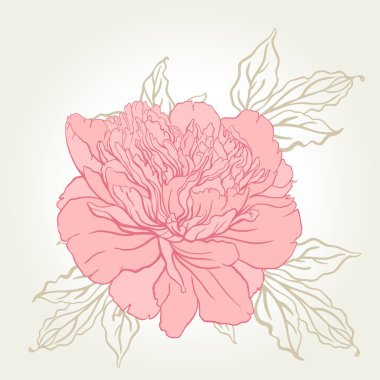 güzel Şakayık buket tasarım