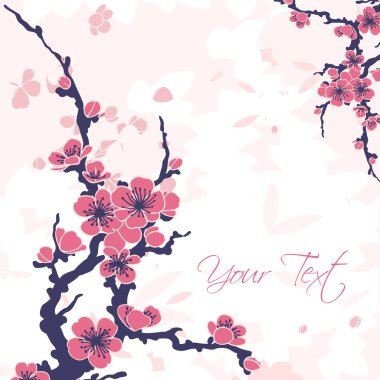 sakura ile arka plan