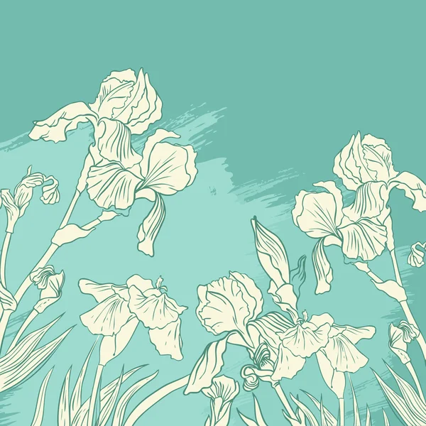 Iris dibujo de flores sobre fondo de oliva — Vector de stock