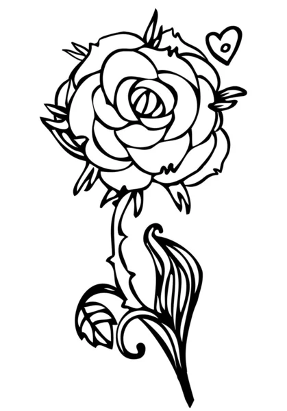 Dibujo en blanco y negro de flor de rosa — Vector de stock