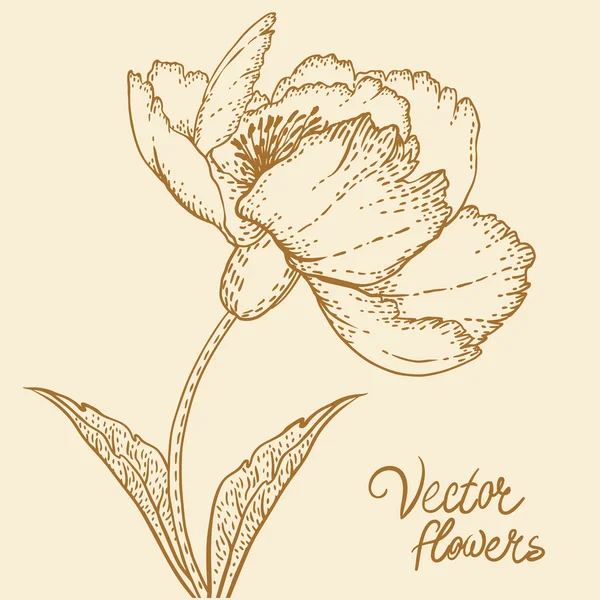 Fondo con flores — Archivo Imágenes Vectoriales