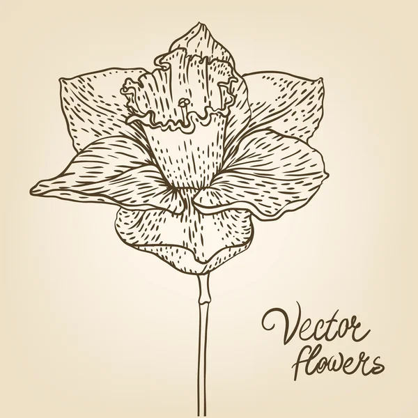 Fundo com flores — Vetor de Stock