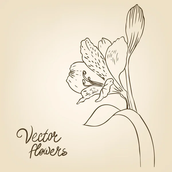 Bakgrund med blommor — Stock vektor