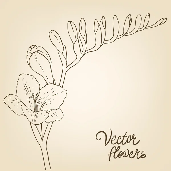 Fondo con flores — Archivo Imágenes Vectoriales